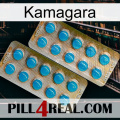 Kamagara new08